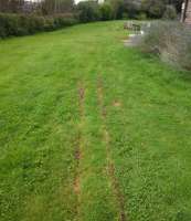 Relaid grass after trenching